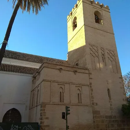 En Calle Padilla セビリア